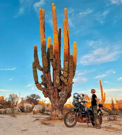 Key Fob Cover